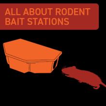 where to place rat bait stations