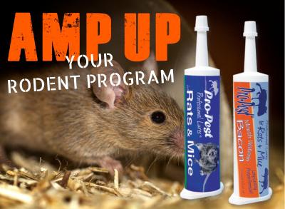 Pro-Pest Professional Lure for Rats & Mice - 32 cc Syringe