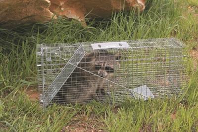Havahart Rodent Traps at