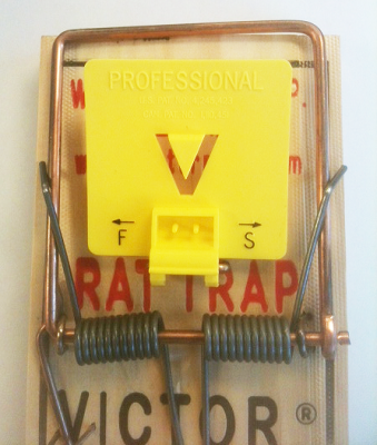 setting a mousetrap victor