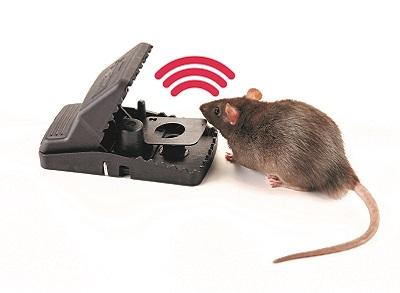 Bait Stations for Controlling Rats and Mice