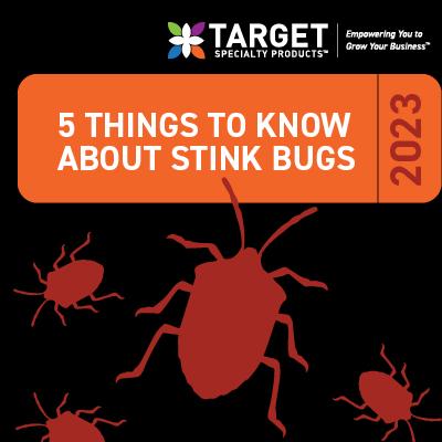 All about the brown marmorated stink bug (BMSB)