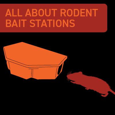 Mouse Bait Station - Mini Rodent Rat Trap Bait Stations - Child